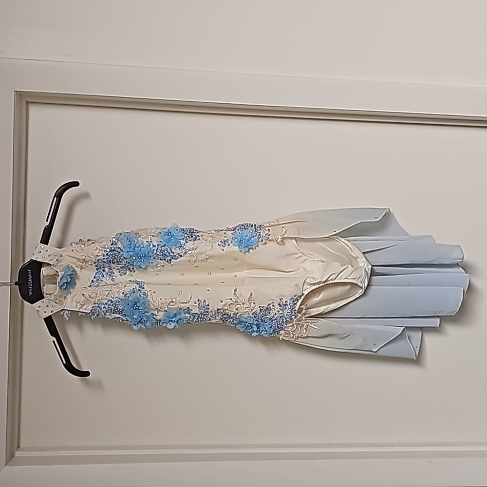 Beautiful dance costume
